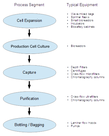 general process