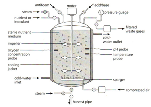 bioreactor diagram